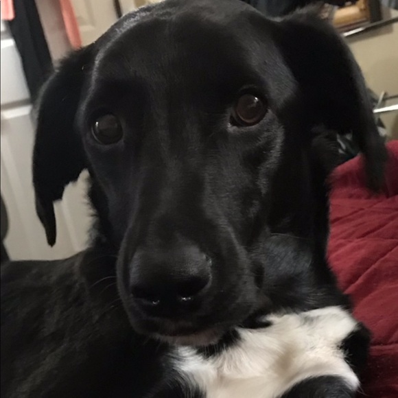 Meet your Posher, Janet - Picture 1 of 1